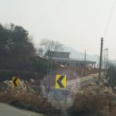 금과면사무소 이미지