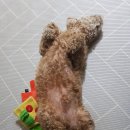 크리애헤어 이미지