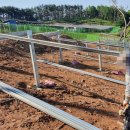 영양태양광발전소 이미지