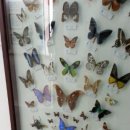 자산공원(빠삐용관) 이미지