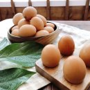 월악로농장 이미지