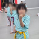 용인대오현태권도 네이버블로그