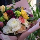 석전동286 이미지