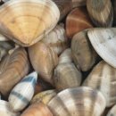 관광민박집 이미지