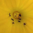 창신세탁소 이미지