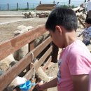 동신중학교 이미지