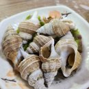 영광센터-5 이미지