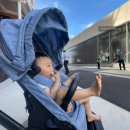 비엔나유치원 이미지