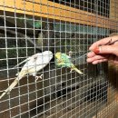 정선농장 이미지