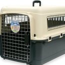 맥스켄넬 이미지