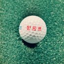 하나골프랜드 | [진주 골프연습장] 실외골프연습장 윈골프랜드 방문 후기
