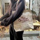 연예인 캔버스 에코백 브랜드 사계절내내 착용하기 좋은 아이템 추천