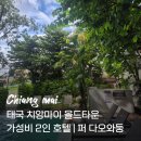 청소ya | 태국 치앙마이 올드타운 가성비 2인 호텔 | 퍼 다오와둥 조식 수영장 후기