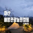 야호관광(주) 이미지