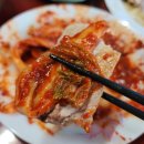 해남절임배추 방죽골 시골장터 김장 후기