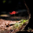 미당농장 이미지