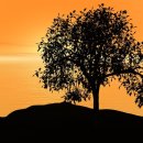 그리고썸PC 이미지