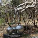 이길래 생성과응집 이미지