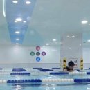 아쿠아펠리스 수영장 이미지