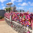 사랑의언덕 이미지