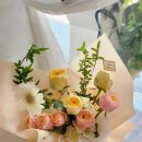 진식디자인 이미지