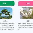 경주화랑고등학교 이미지