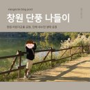여명로25번길 | 아이랑 창원 단풍 구경 갈만한 곳｜주말 가족 나들이 코스