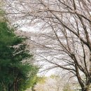 티스테이션 부개점 이미지