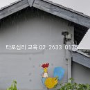 원테라피 네이버블로그