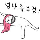 체육의신태권도장