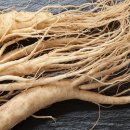 조선시대 이미지