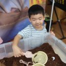 ＜이동동물원＞: 코카투&amp;머스크비오리&amp;메가볼&amp;밀리패드♥ 이미지