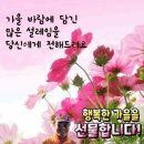 🐳🐳🐳청 어🐳🐳🐳 이미지