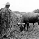 우물가빨래터 이미지