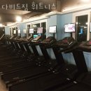 다비드 짐 이미지