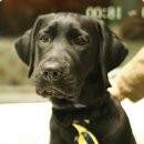 성남동물병원 이미지