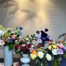 어메이징콰이어 이미지