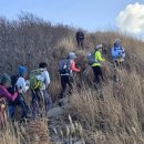 오서산(주차장) 이미지