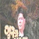 영구와 부시맨 (1992) 이미지