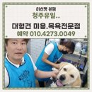 이츠펫 본점 이미지