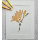 [성인] 색연필로 그리는 꽃 그림 보태니컬 아트 네이버블로그