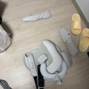 이지세탁 | 내돈당근, 다이치 이지캐리2 세탁 및 분해 후기