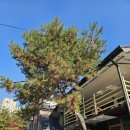 샵샤브춘천점 | 춘천 후평동 샤브샤브 맛집 샤브르정원 무한리필 다양한 샐러드바