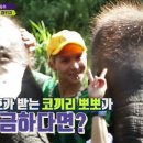 코끼리바이크 이미지