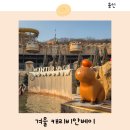 백곰사 | 캐리비안베이 겨울 준비물 입장권 할인 카피바라 스파