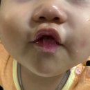 숨쉬는 돌 | [아기김치 추천] 까꿍맘마 아기김치, 돌아기김치 첫 김치로 최고에요!(아기반찬배달 후기)