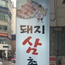 돼지 삼촌 이미지