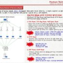 하이성인게임장 이미지