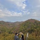 기성중학교 | 장태산 자연휴양림 실시간 대전 청주 세종 근교 단풍 명소 전망대 사진 스팟 주차장 주말후기