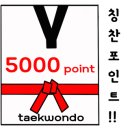 용인대타이곤태권도 이미지